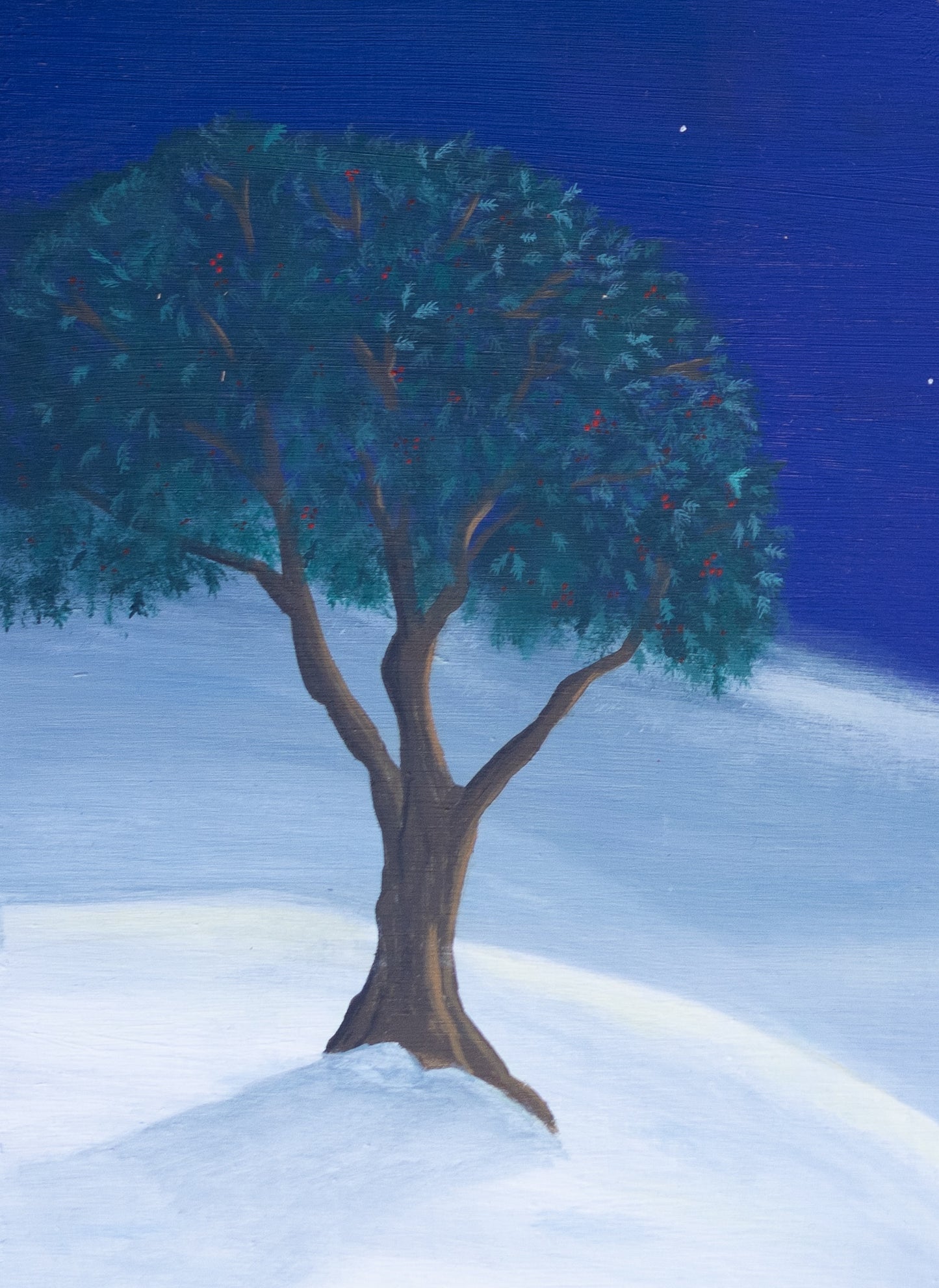 The Cold Moon